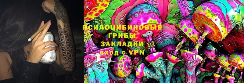 Галлюциногенные грибы мицелий  магазин продажи   Орлов 